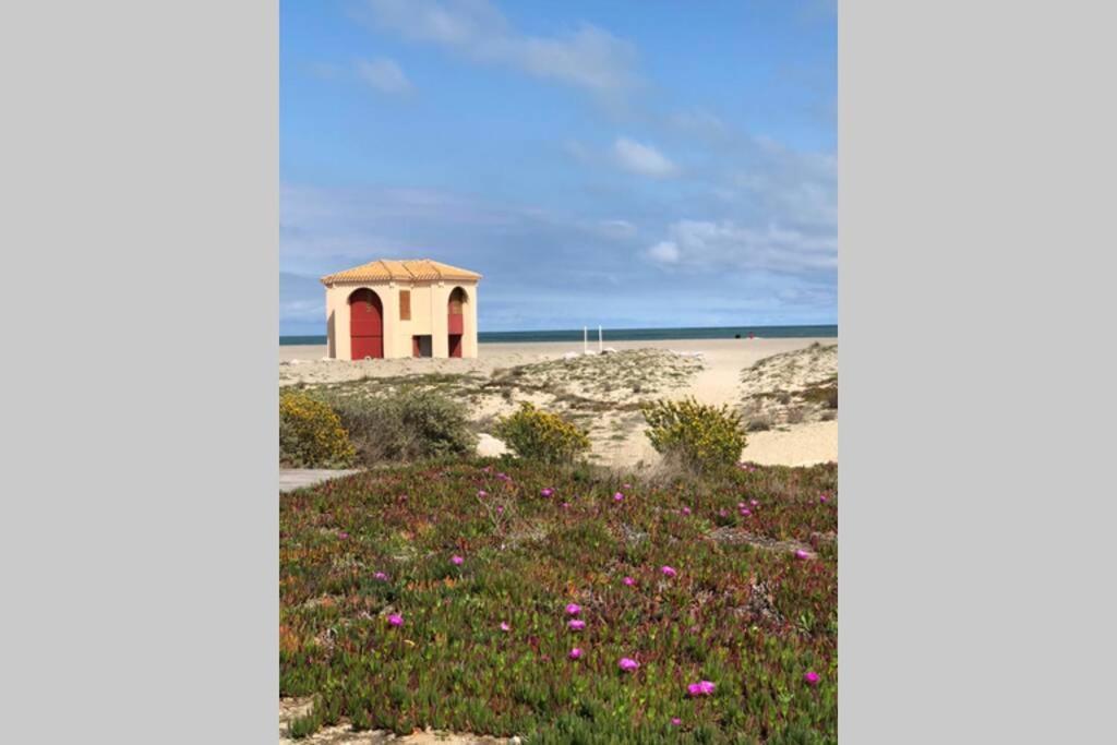 Barcaresa-La Perle Vue Mer Pieds Dans L'Eau Clim Wifi Leucate Exterior foto