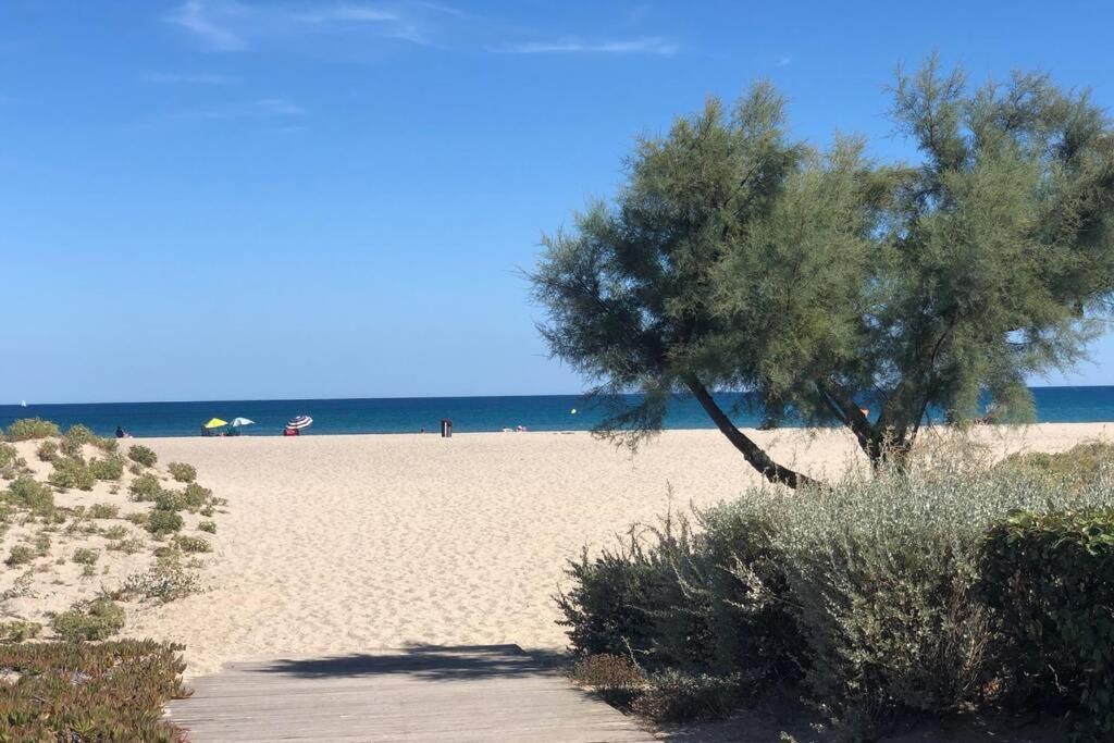 Barcaresa-La Perle Vue Mer Pieds Dans L'Eau Clim Wifi Leucate Exterior foto